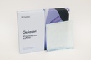 Gelacell - Gelatin 10x10 cm scaffold