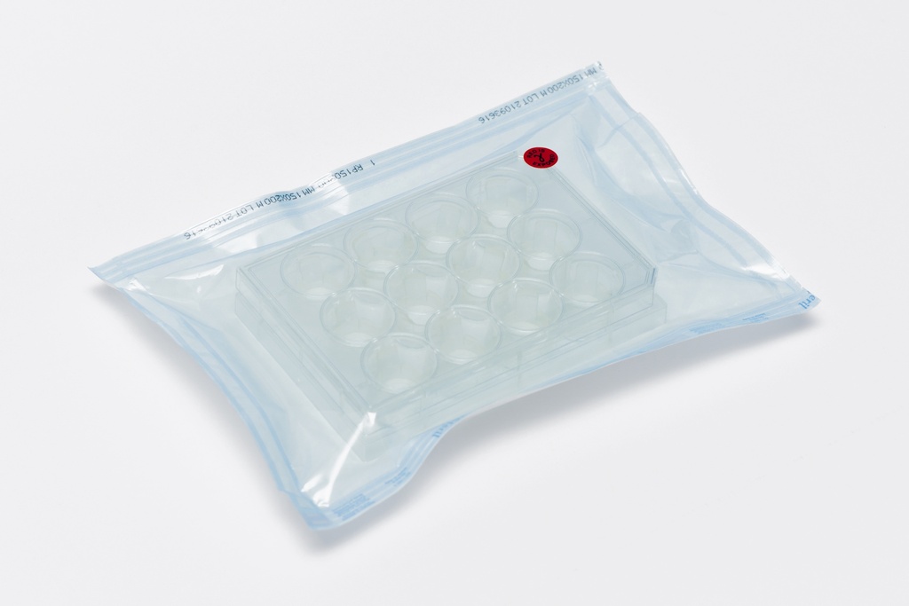 Gelacell™ - Gelatin 12 well plate with cell crowns